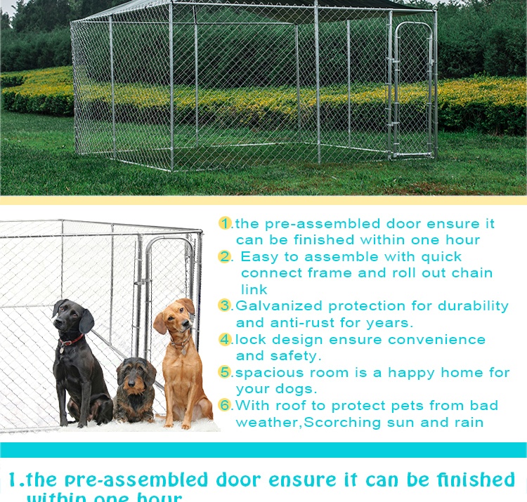 Cheap large chain link dog box kennel chain link dog run