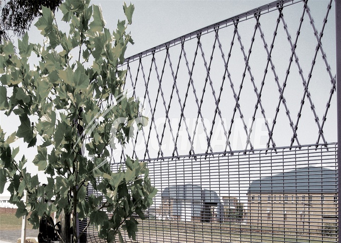 Rhombus Welded Razor Mesh Fence 150mmx300mm BT022 Hot dipped Galvanized 2
