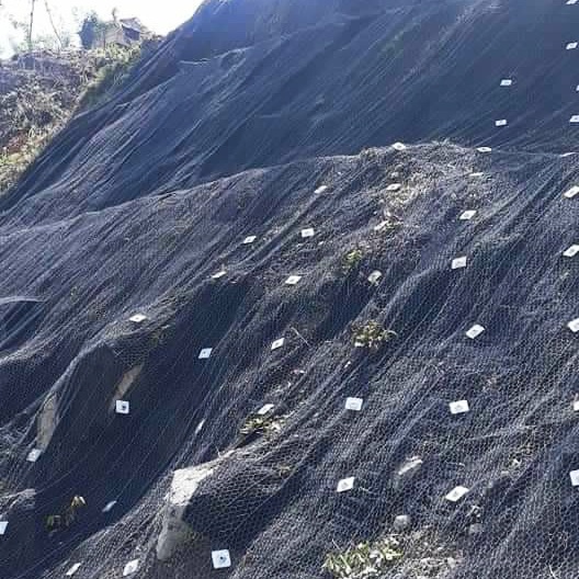 Cable Mesh Animal Enclosures 6