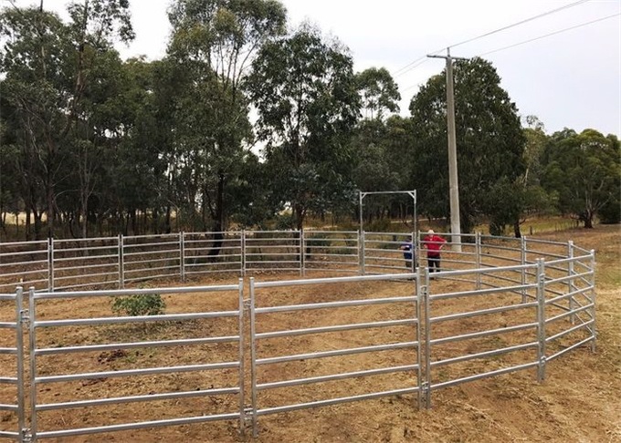 Livestock Farm Gates 1.8mx2.1m width 3