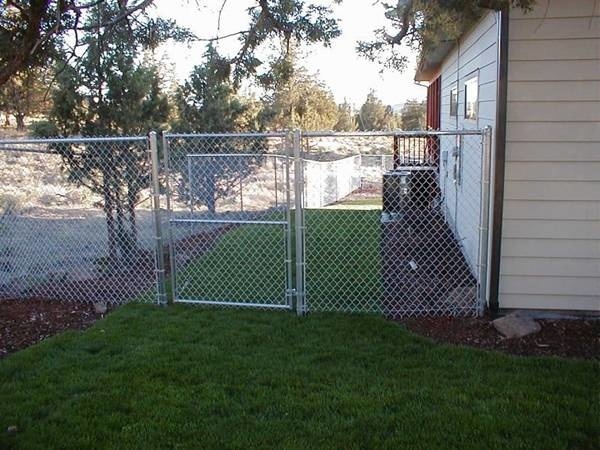 Several trees and a house are surrounded by galvanized chain link fence.