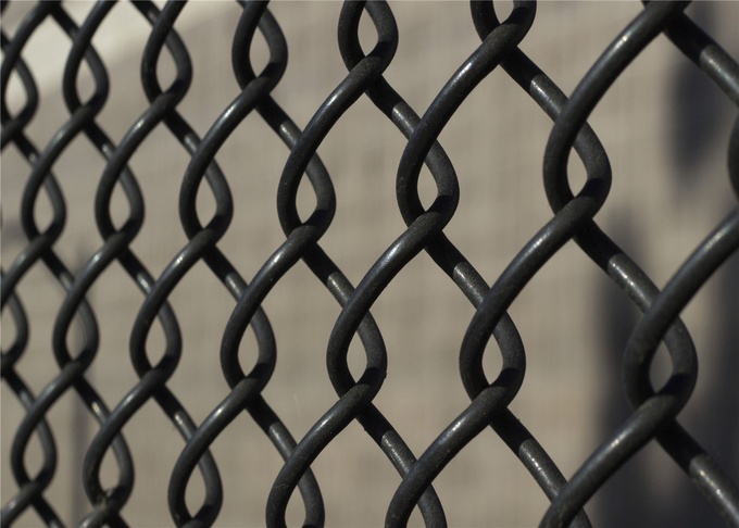 Vinyl Coated 6 feet Chain Link Fence/Chain Link Fabric 4
