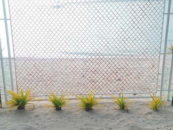 Stainless steel chain link fences are installed along the coastline.