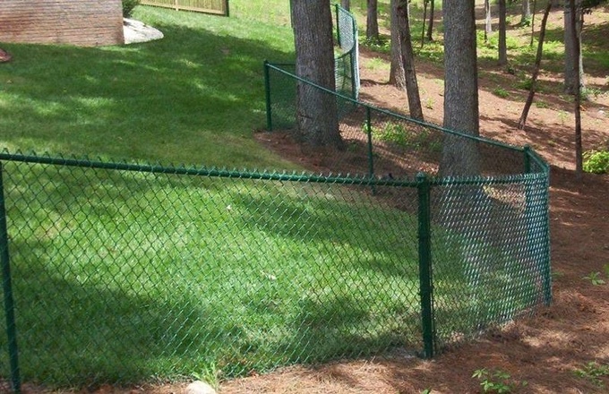 Green backyard chain link fence and wood fence.
