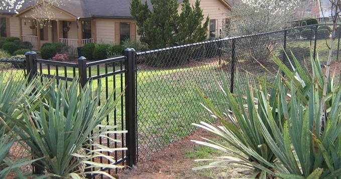 Black chain link fence blends well with the surroundings.