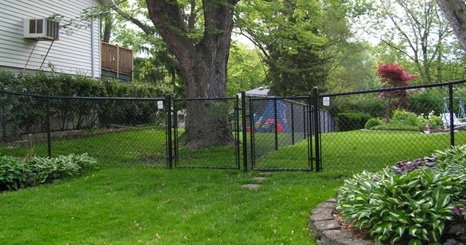 Black vinyl-coated neighboring chain link fence with two swing gates.