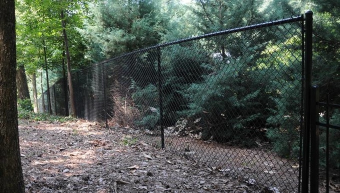 Black vinyl-coated security chain link fence for a landscape.