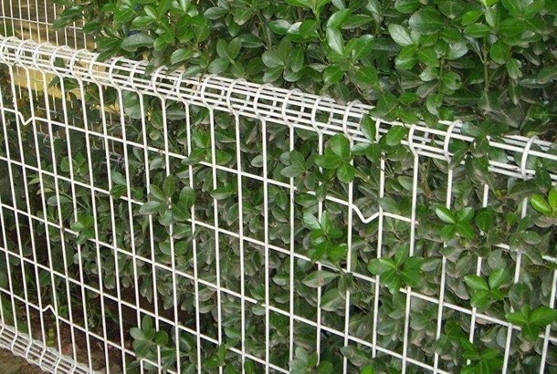 high-quality powder coated double loop wire mesh metal garden fence 2