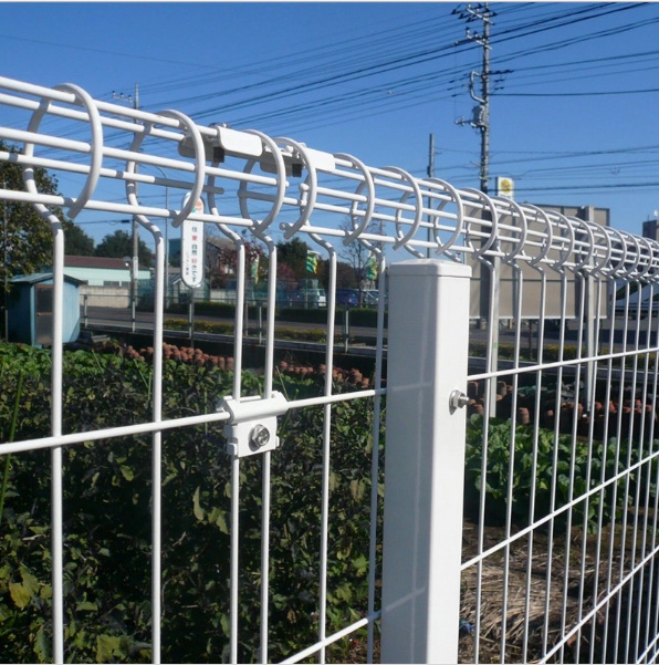 high-quality powder coated double loop wire mesh metal garden fence 3