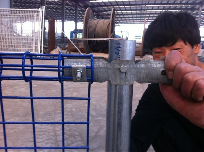 PVC Coated Double Loop Wire Fence 1