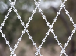 Welded Razor Wire Mesh: Ultimate Protection