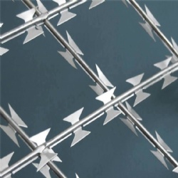 Welded Razor Wire Mesh Fence: Factory Low Price