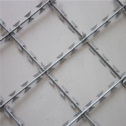 Welded Razor Wire Mesh Fence: Factory Low Price