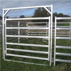 Cattle Panels: Customizable, Durable, and Industry-Standard
